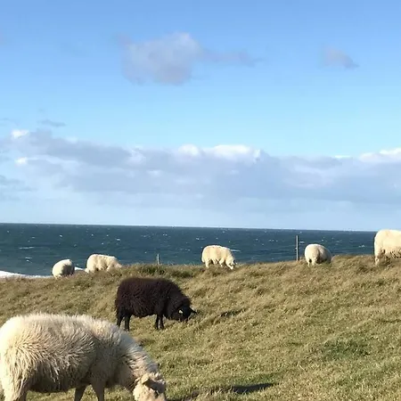 Close To Heatherhill And The Sea :-) Holiday home *
